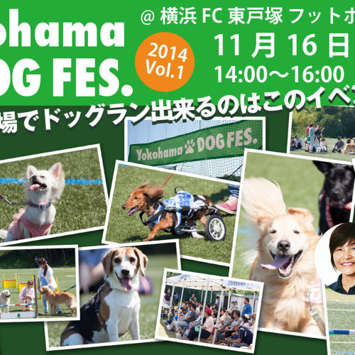 Yokohama DOG FES. Vol.1