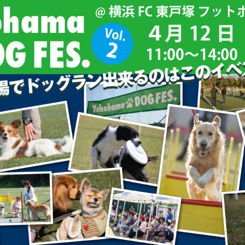 Yokohama DOG FES. Vol.2