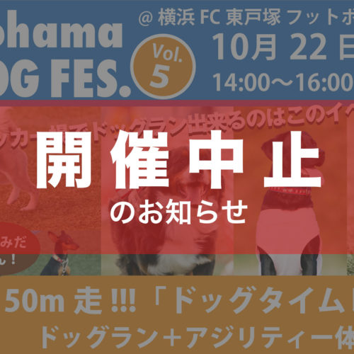 横浜ドッグフェスVol.5開催中止のお知らせ