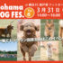 Yokohama DOG FES. Vol.6 3月31日開催！