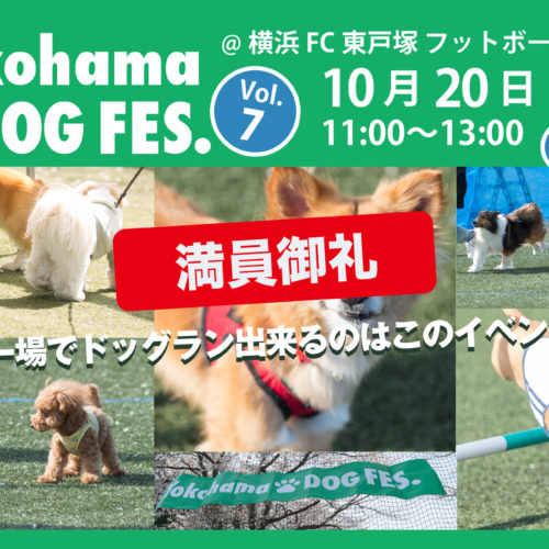 Yokohama DOG FES. Vol.7 10月20日開催決定！（満員のため募集締切）
